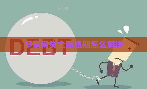 多家网贷全面逾期怎么解决