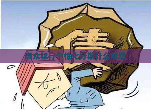 微众银行个性化分期什么意思