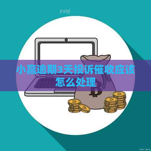 小赢逾期3天投诉应该怎么处理