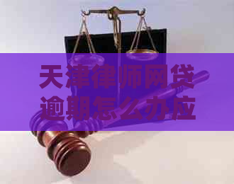 天津律师网贷逾期怎么办应该联系律师解决