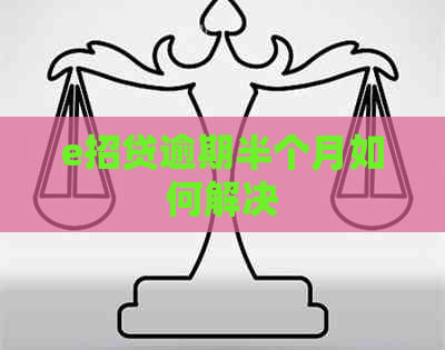 e招贷逾期半个月如何解决