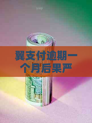 翼支付逾期一个月后果严重吗