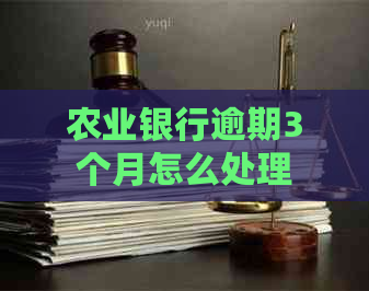 农业银行逾期3个月怎么处理