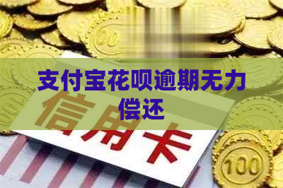 支付宝花呗逾期无力偿还