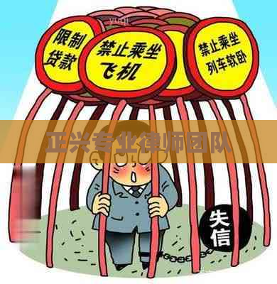 正兴专业律师团队