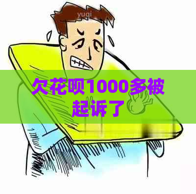 欠花呗1000多被起诉了