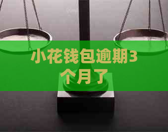 小花钱包逾期3个月了