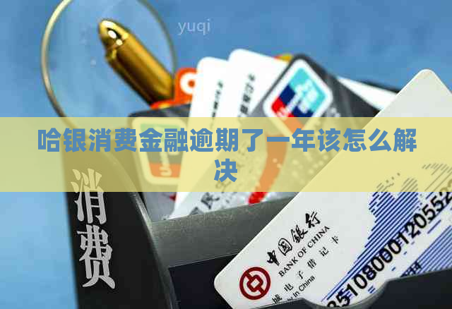 哈银消费金融逾期了一年该怎么解决