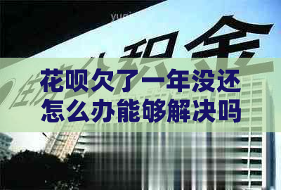 花呗欠了一年没还怎么办能够解决吗