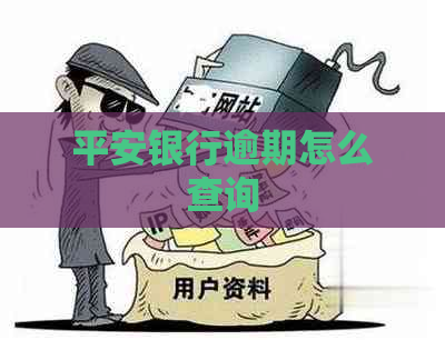 平安银行逾期怎么查询