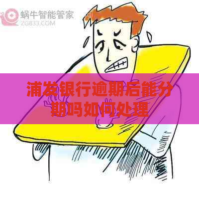 浦发银行逾期后能分期吗如何处理