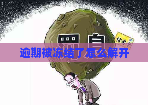 逾期被冻结了怎么解开