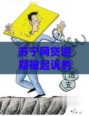 苏宁网贷逾期被起诉的后果及应对措施