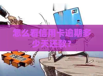 怎么看信用卡逾期多少天还款？