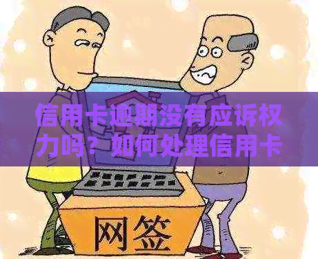 信用卡逾期没有应诉权力吗？如何处理信用卡逾期问题？