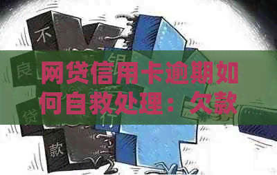 网贷信用卡逾期如何自救处理：欠款解决策略与上岸指南