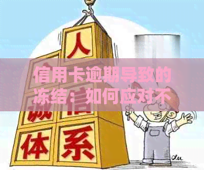 信用卡逾期导致的冻结：如何应对不良信用记录和未来贷款难题？