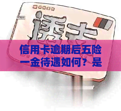 信用卡逾期后五险一金待遇如何？是否还能继续享受？