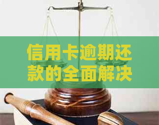 信用卡逾期还款的全面解决策略与注意事项，您是否需要参与？