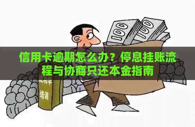 信用卡逾期怎么办？停息挂账流程与协商只还本金指南