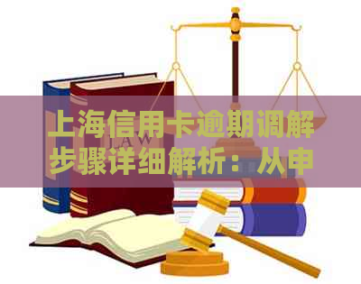 上海信用卡逾期调解步骤详细解析：从申请到结果全掌握