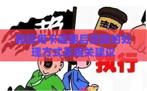 新信用卡逾期后贷款的处理方式及相关建议