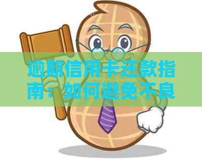 逾期信用卡还款指南：如何避免不良信用记录