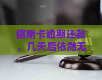 信用卡逾期还款，几天后依然无影响？这里有你想知道的答案！