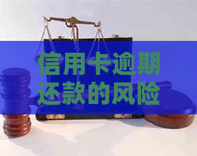 信用卡逾期还款的风险与应对策略：公安局是否介入？