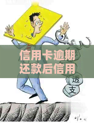 信用卡逾期还款后信用评分是否受影响？如何补救信用损失？