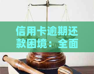 信用卡逾期还款困境：全面解决方案与建议