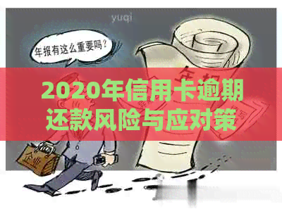 2020年信用卡逾期还款风险与应对策略：信用记录影响与公安相关性