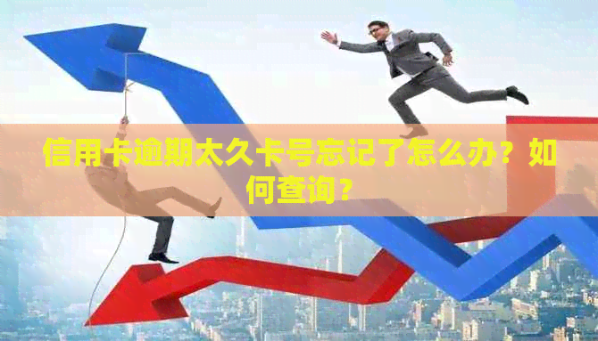 信用卡逾期太久卡号忘记了怎么办？如何查询？