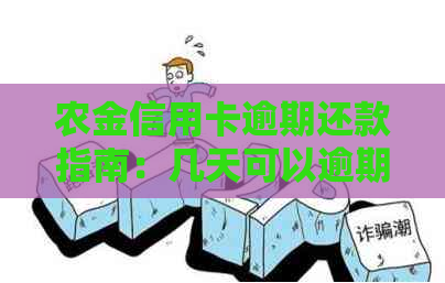 农金信用卡逾期还款指南：几天可以逾期？如何处理？