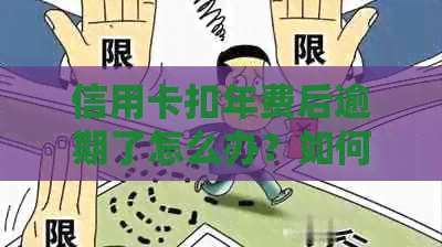 信用卡扣年费后逾期了怎么办？如何办理？