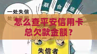 怎么查平安信用卡总欠款金额？