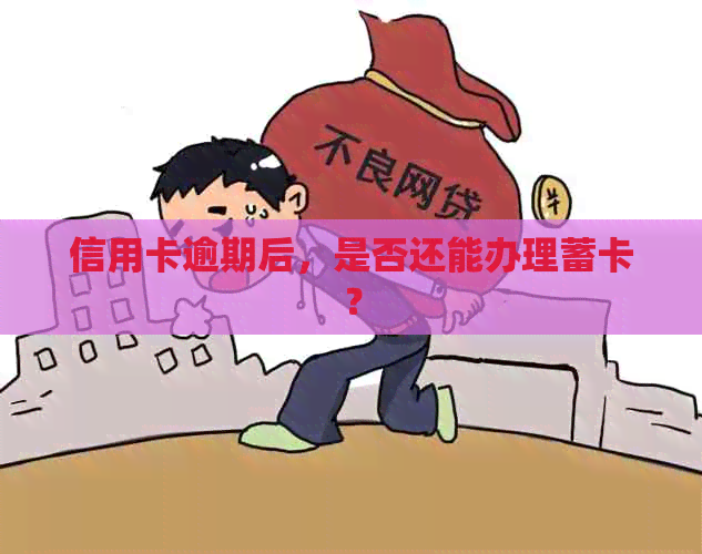 信用卡逾期后，是否还能办理蓄卡？