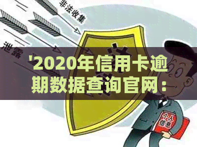 '2020年信用卡逾期数据查询官网：中国与全球信用卡逾期数据概览'