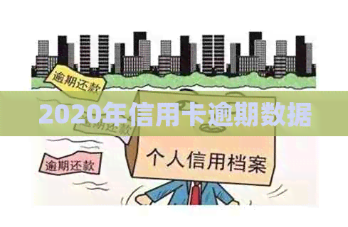 2020年信用卡逾期数据