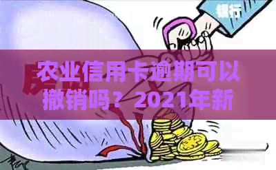 农业信用卡逾期可以撤销吗？2021年新法规详解操作步骤