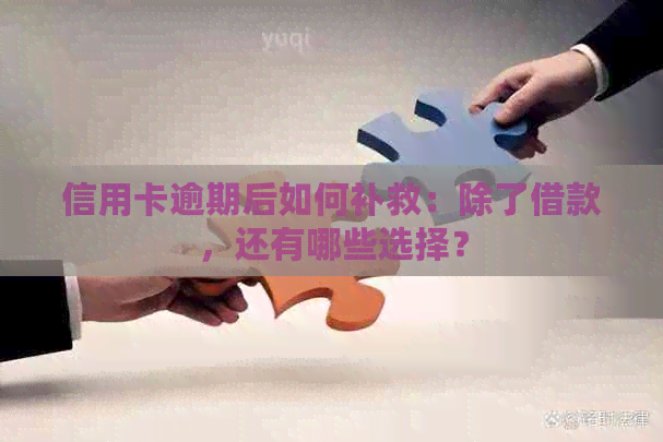 信用卡逾期后如何补救：除了借款，还有哪些选择？