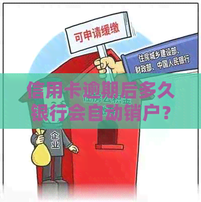 信用卡逾期后多久银行会自动销户？了解逾期处理时间及相关影响因素