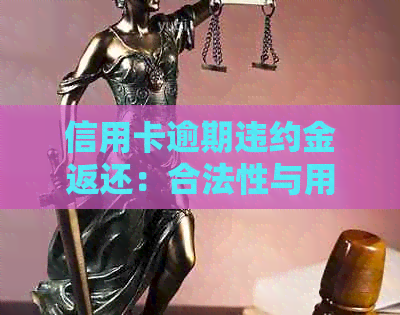 信用卡逾期违约金返还：合法性与用户权益的全面解析