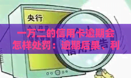 一万二的信用卡逾期会怎样处罚：逾期后果、利息及处理方法全面解析