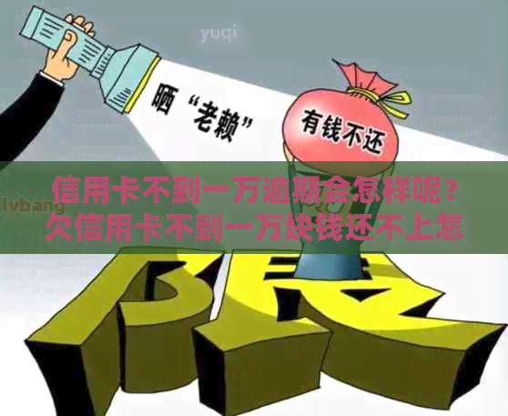 信用卡不到一万逾期会怎样呢？欠信用卡不到一万块钱还不上怎么办？