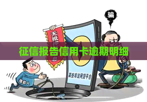 报告信用卡逾期明细