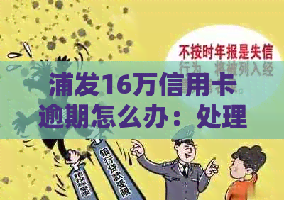 浦发16万信用卡逾期怎么办：处理策略与后果分析