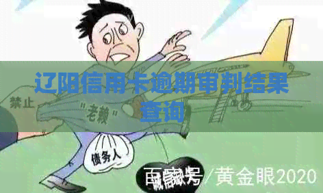 辽阳信用卡逾期审判结果查询