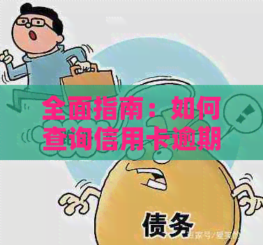 全面指南：如何查询信用卡逾期记录及相关问题解答