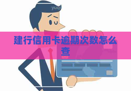 建行信用卡逾期次数怎么查